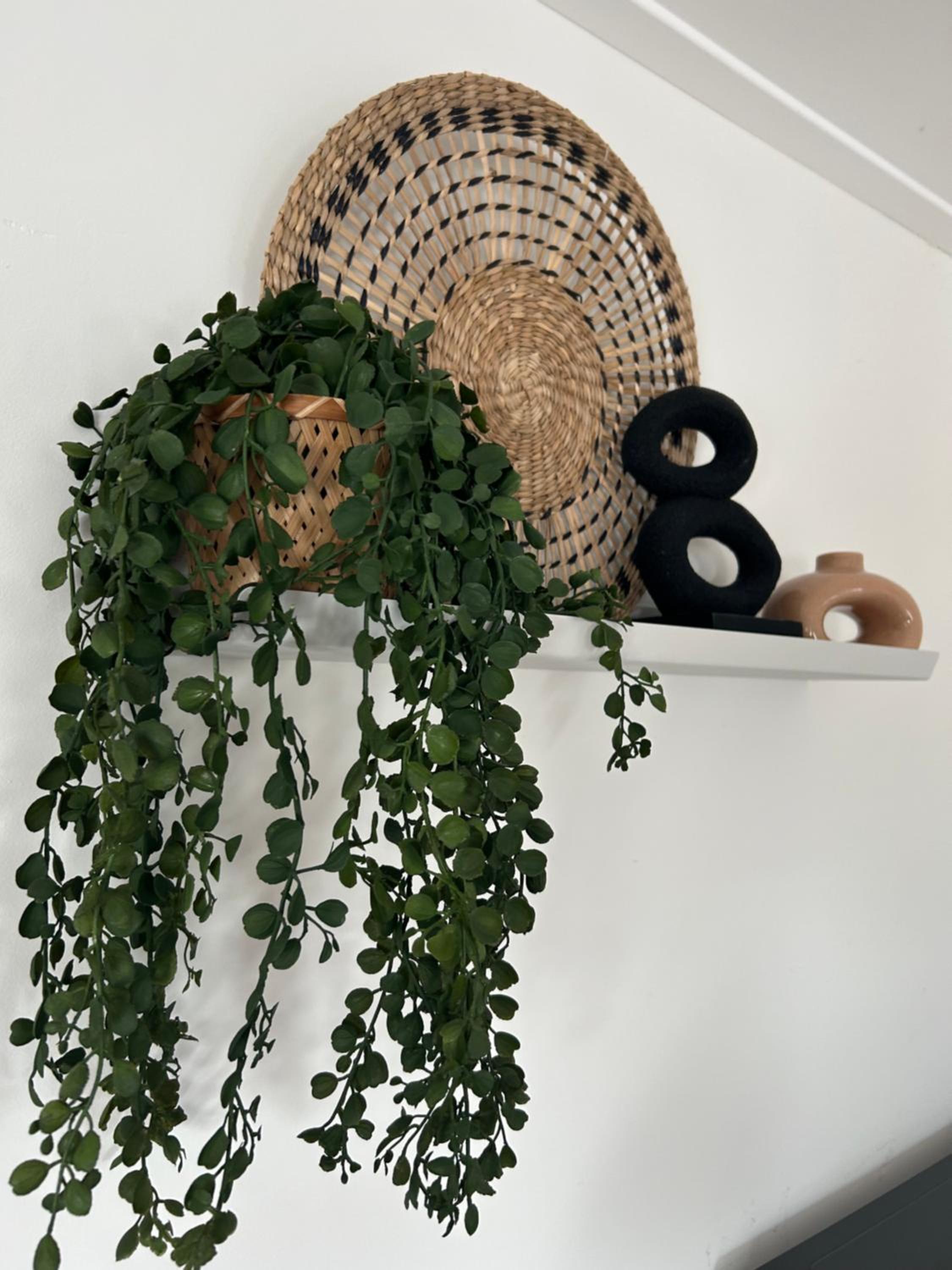 B&B Zunderdorp