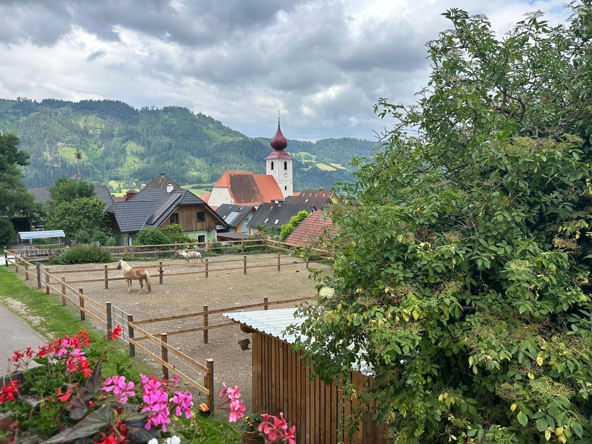Panoramablick Sankt Peter