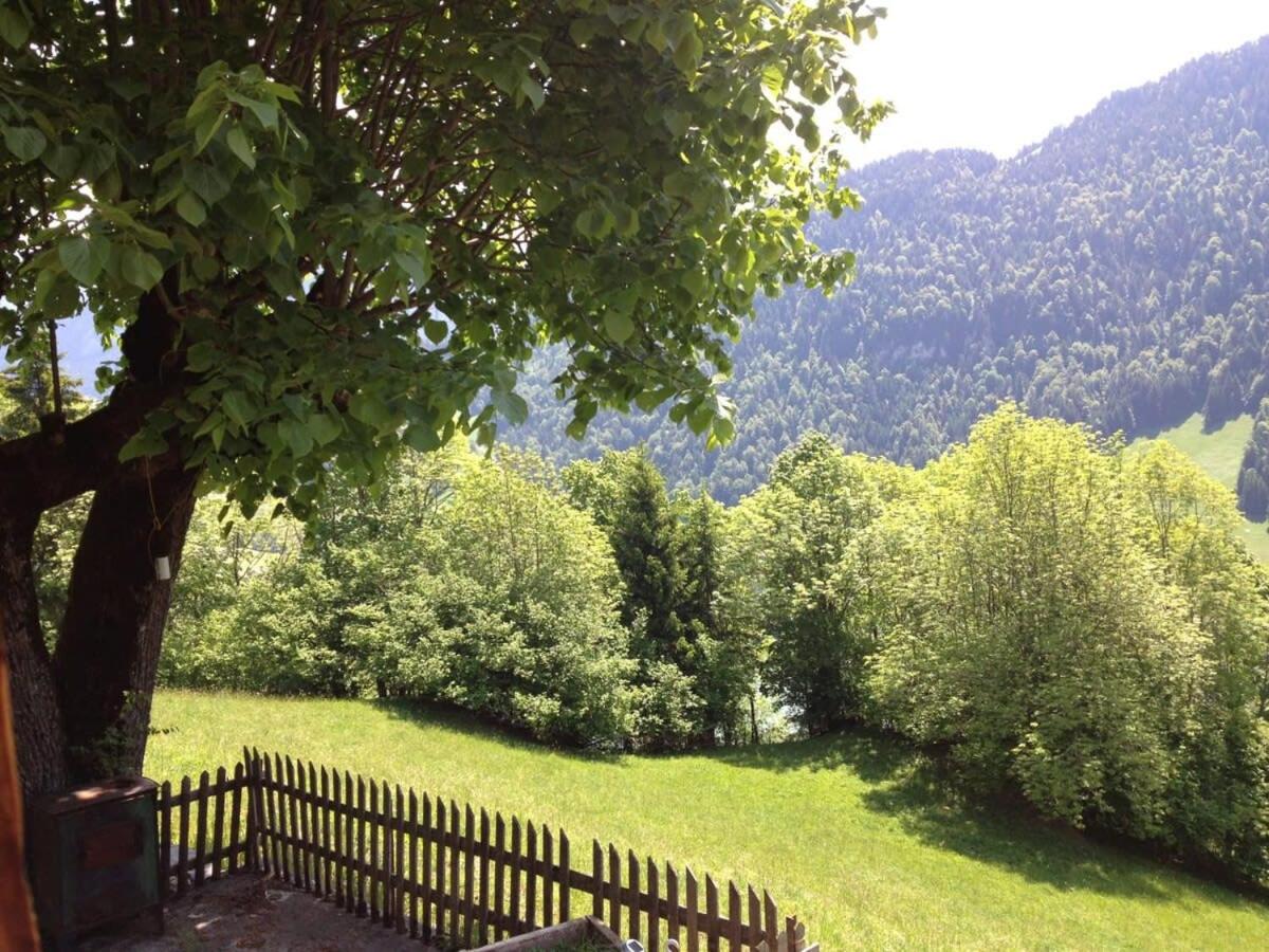 Heidi Chalet Alps - Unique Experience - Authentic Part