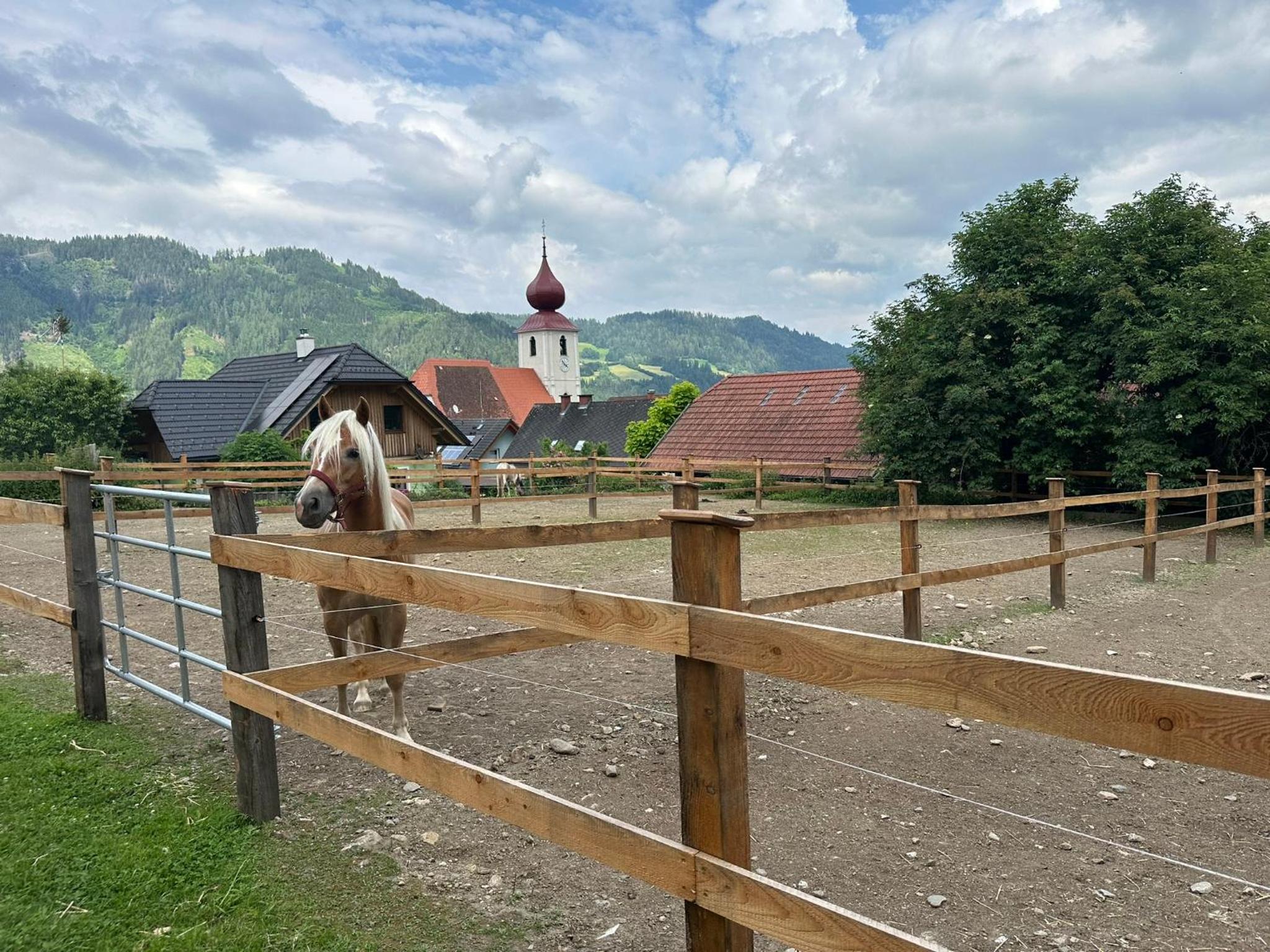 Panoramablick Sankt Peter