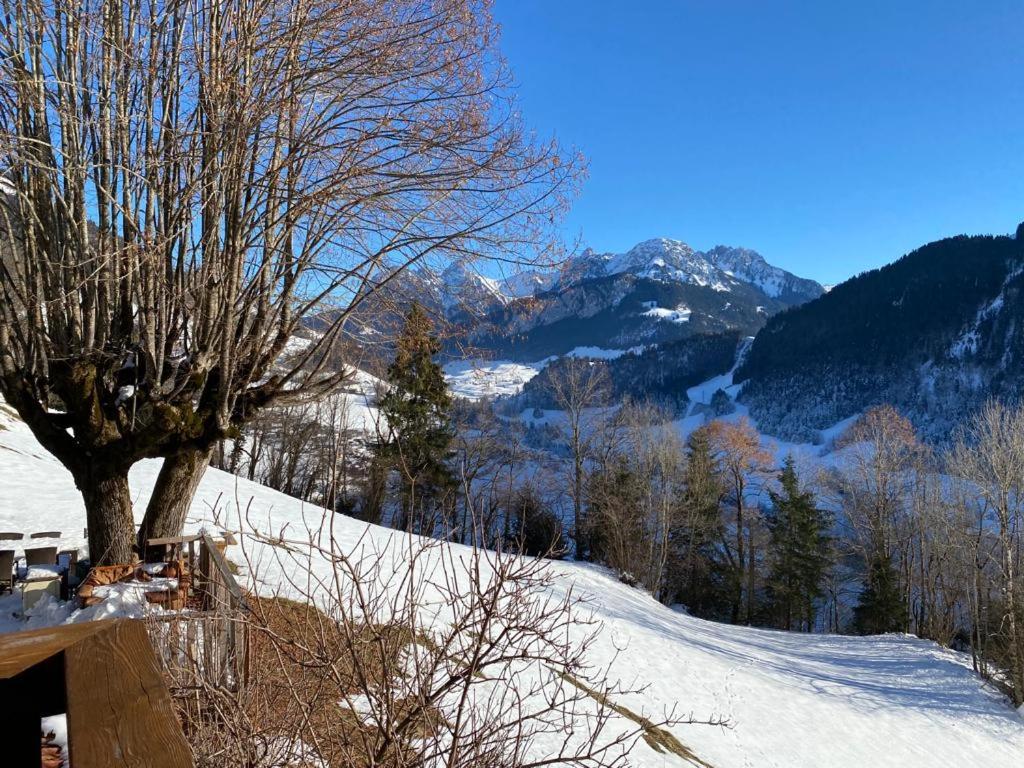 Heidi Chalet Alps - Unique Experience - Authentic Part
