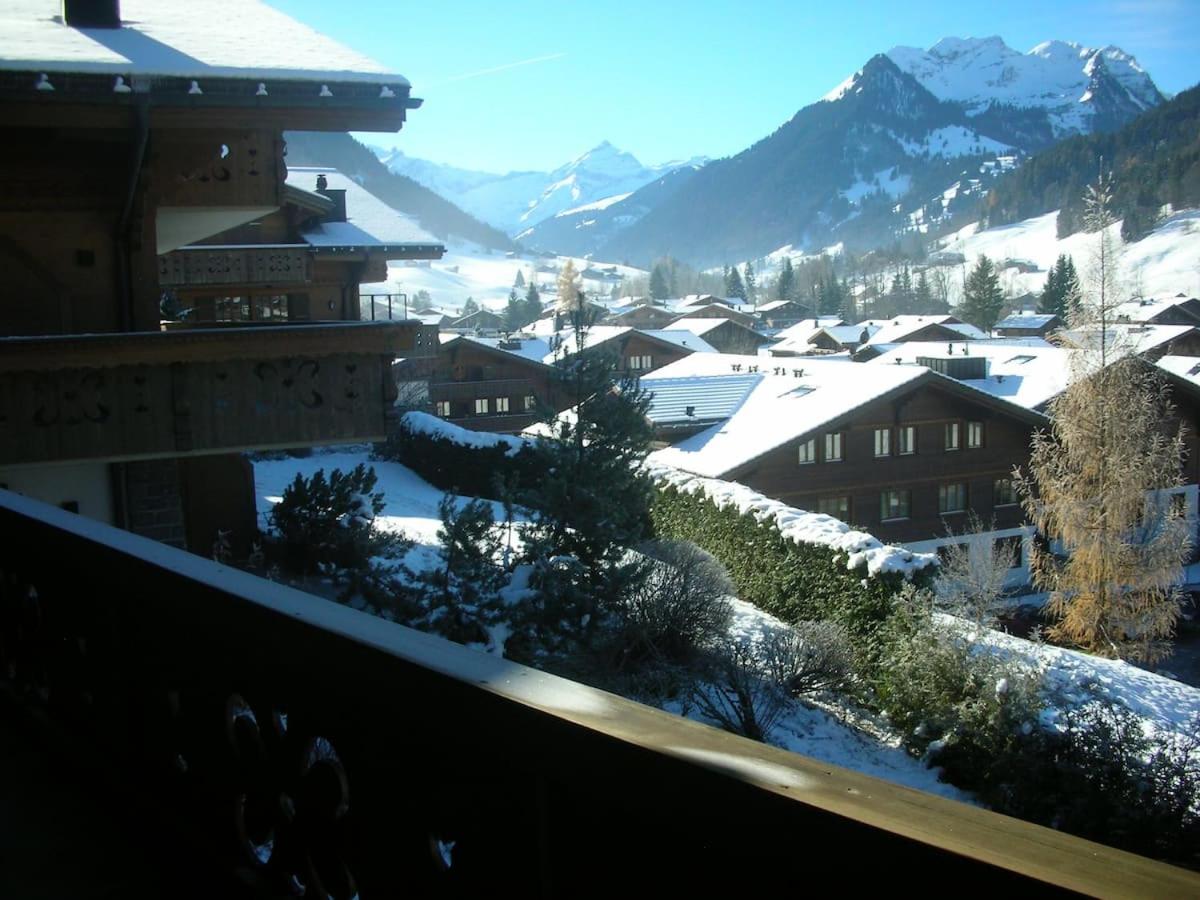 Minutes Walk from Gstaad Center - Great Apartment