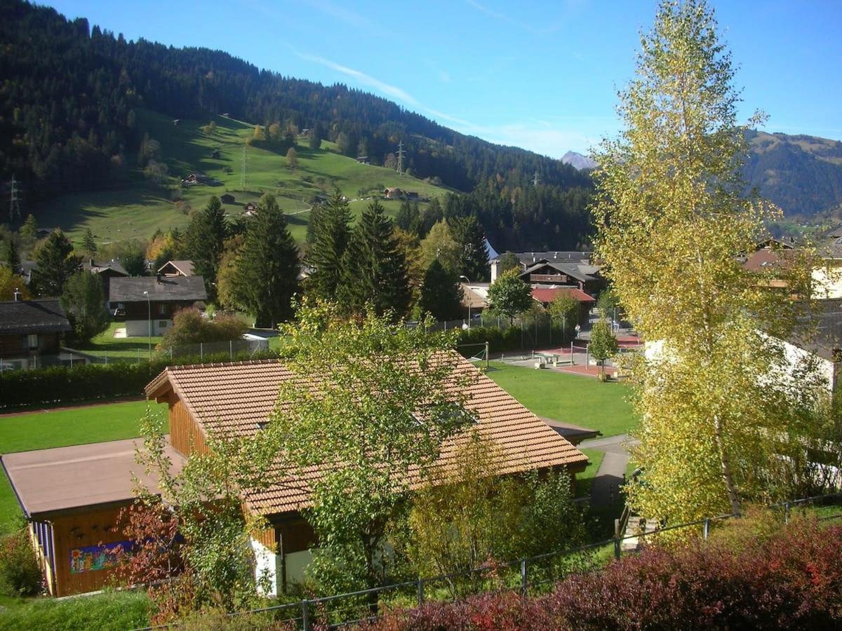 Minutes Walk from Gstaad Center - Great Apartment
