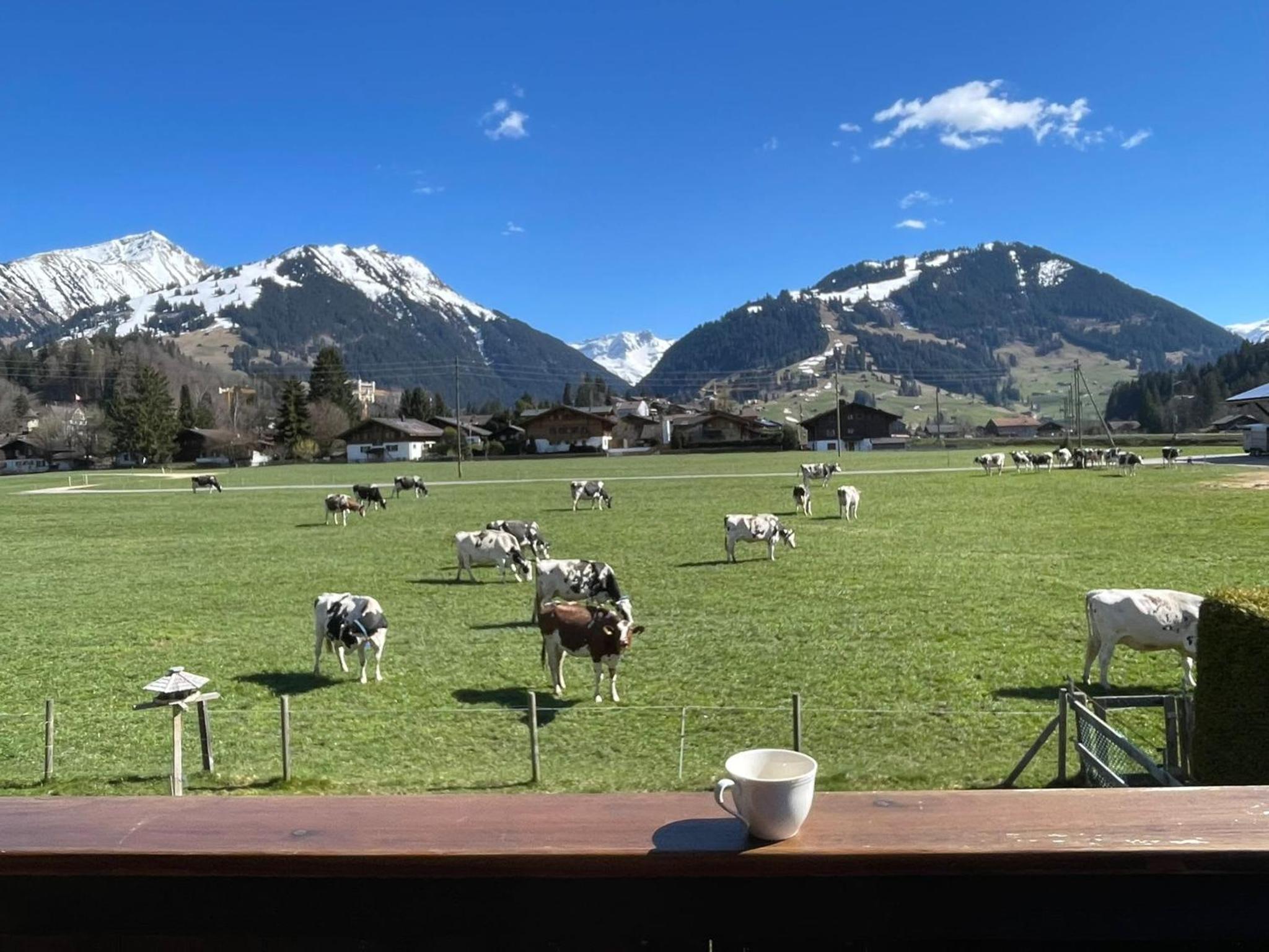 Alpine Haven 3-bedroom Chalet in Gstaad