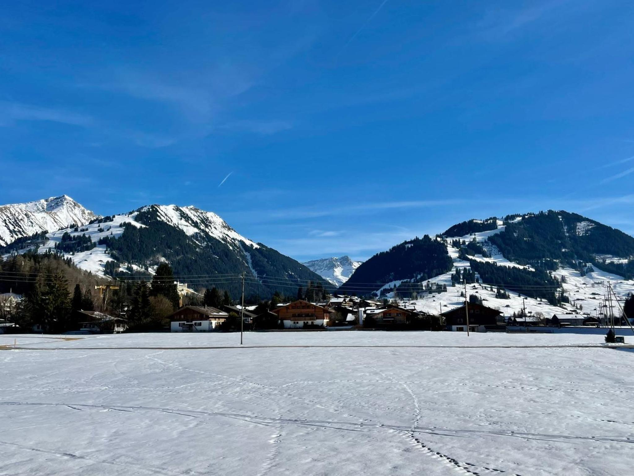Alpine Haven 3-bedroom Chalet in Gstaad