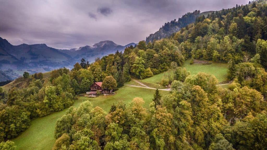 Heidi Chalet - Panoramic View - Modern Part