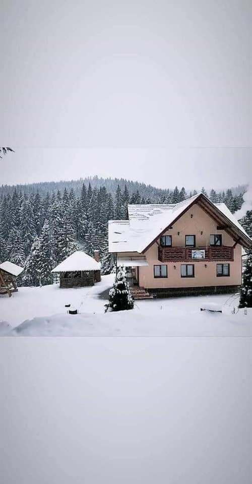 Casa Ursuleasa