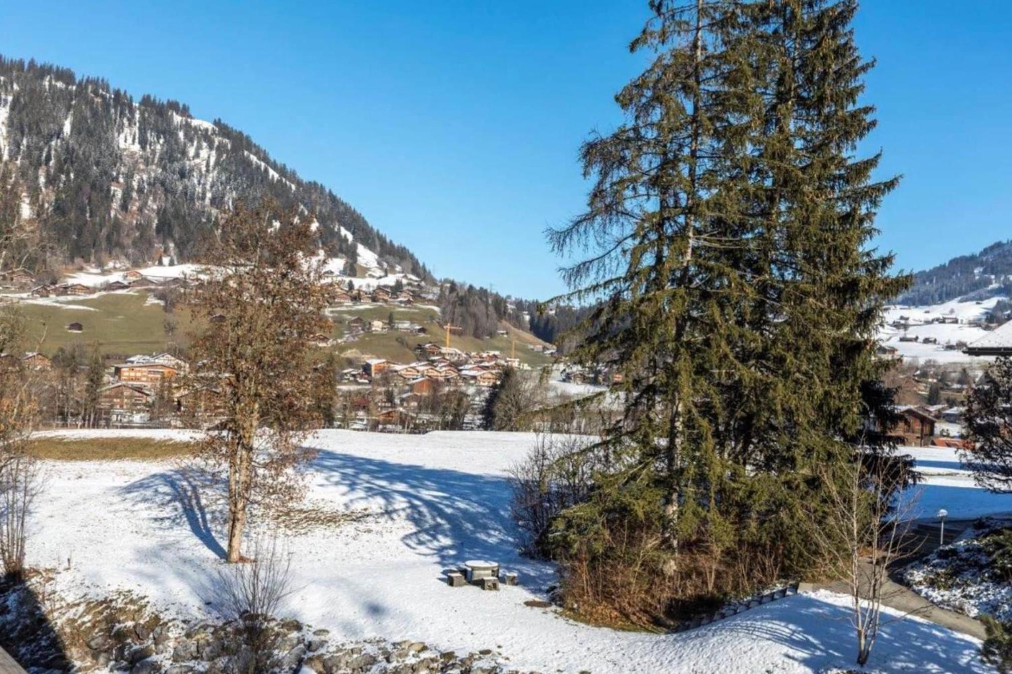 Charming duplex next to ski slopes