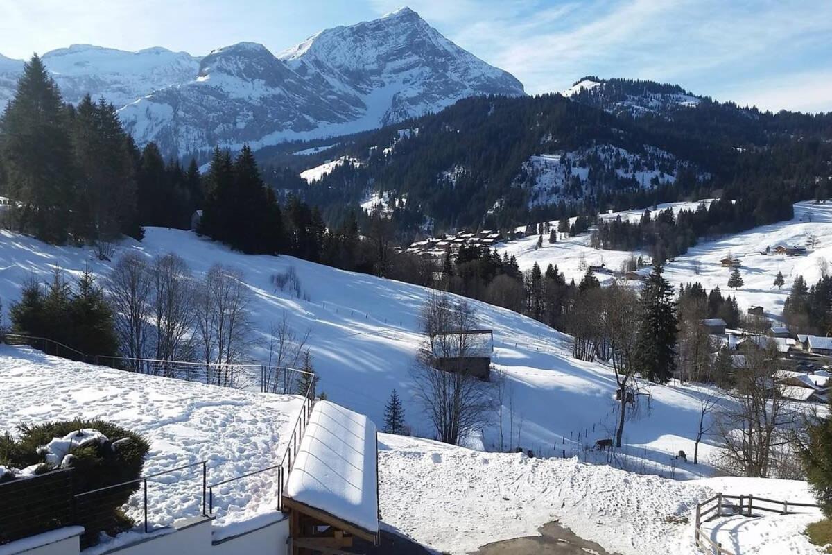 Great luxurious Flat in pitoresque Lauenen village