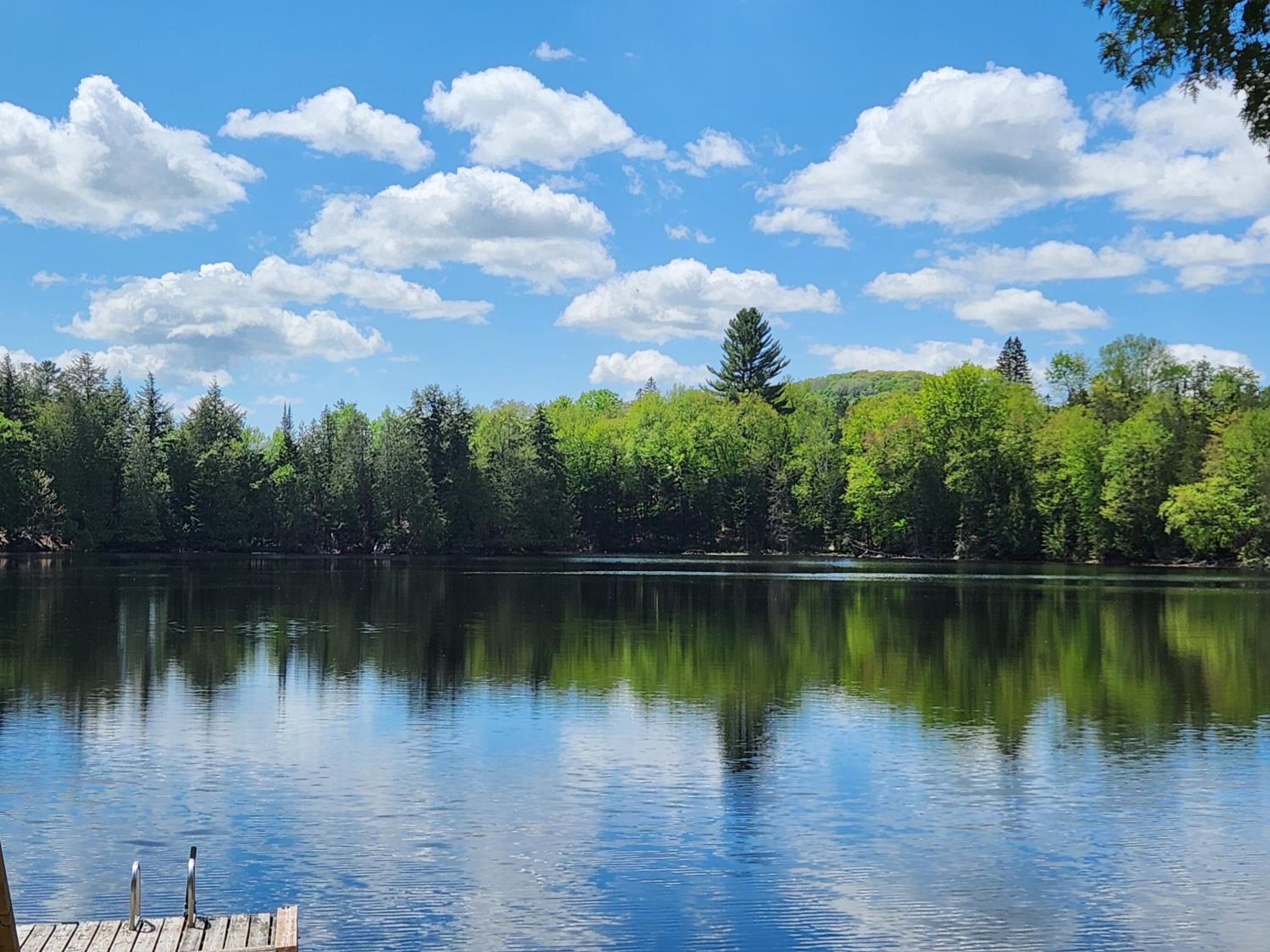 Peaceful Waterfront Getaway - Swim Fish Paddle boat Golf Hike Ski Shop