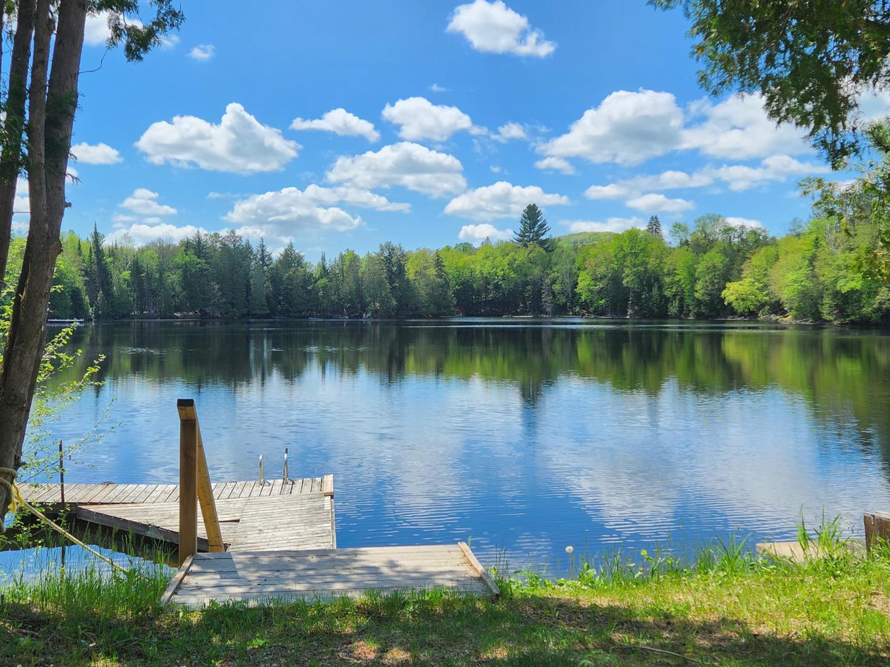 Peaceful Waterfront Getaway - Swim Fish Paddle boat Golf Hike Ski Shop