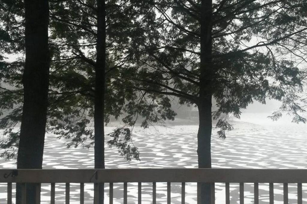 Lake Haven
