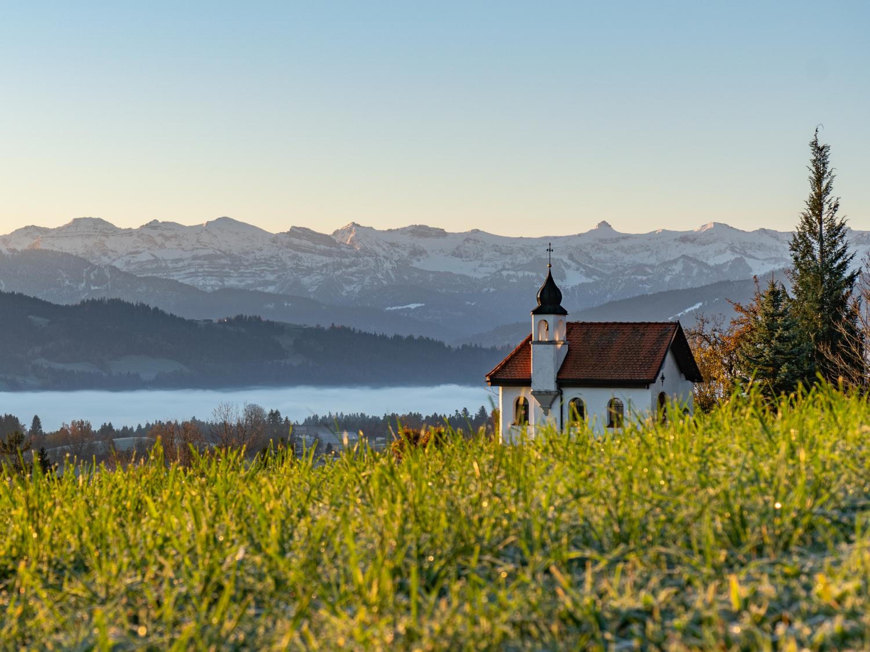 Ferienwohnung BergWolke mit Pool, Sauna & Bergblick