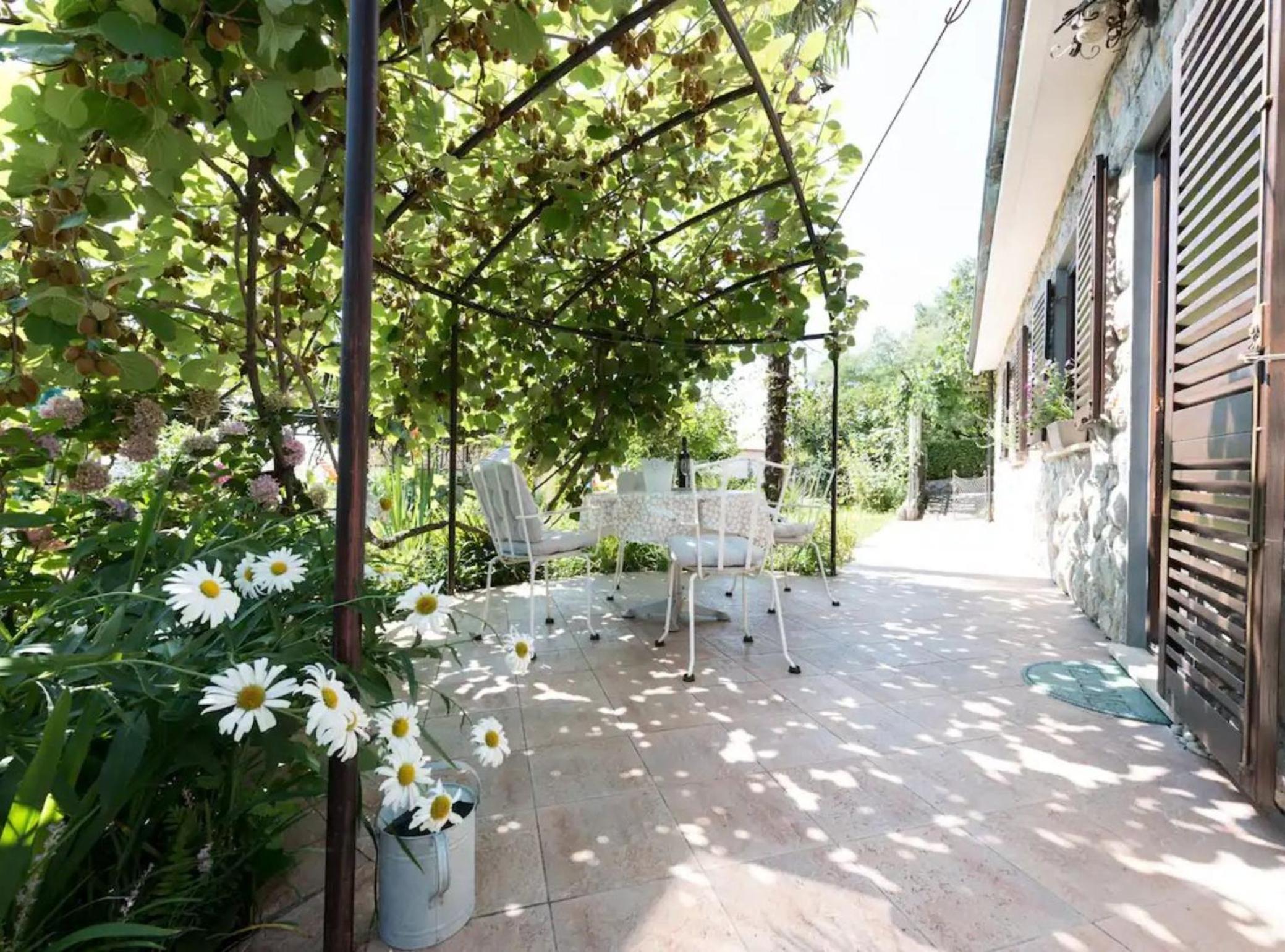Green Garden Oasis