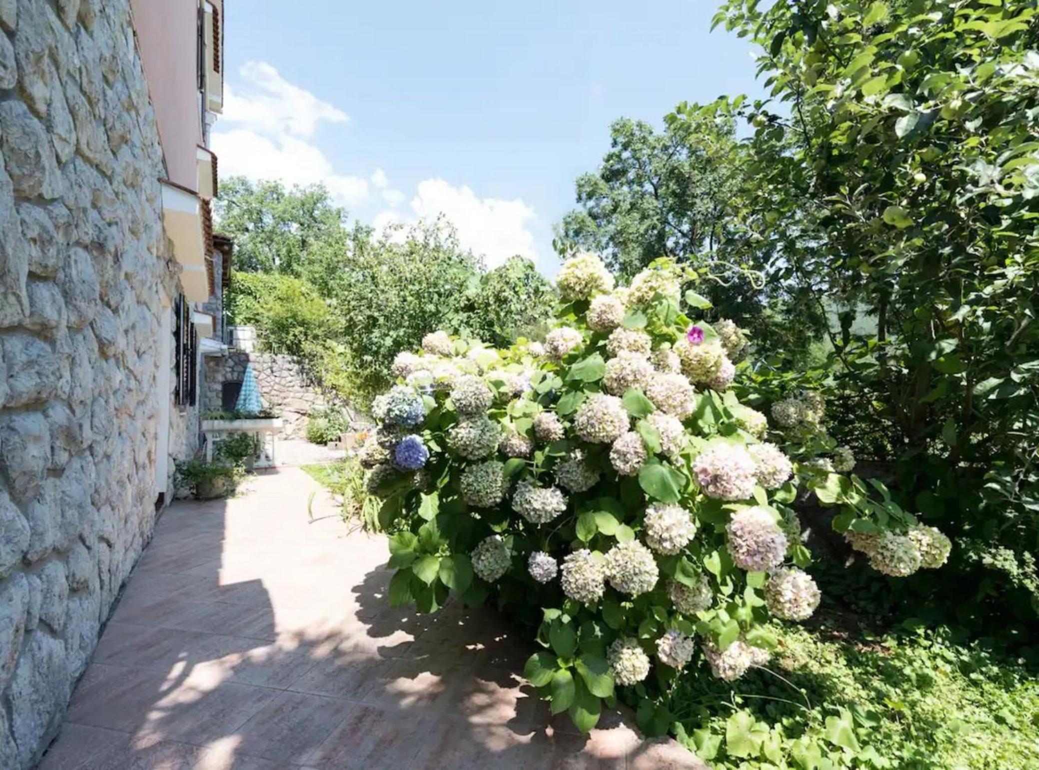 Green Garden Oasis