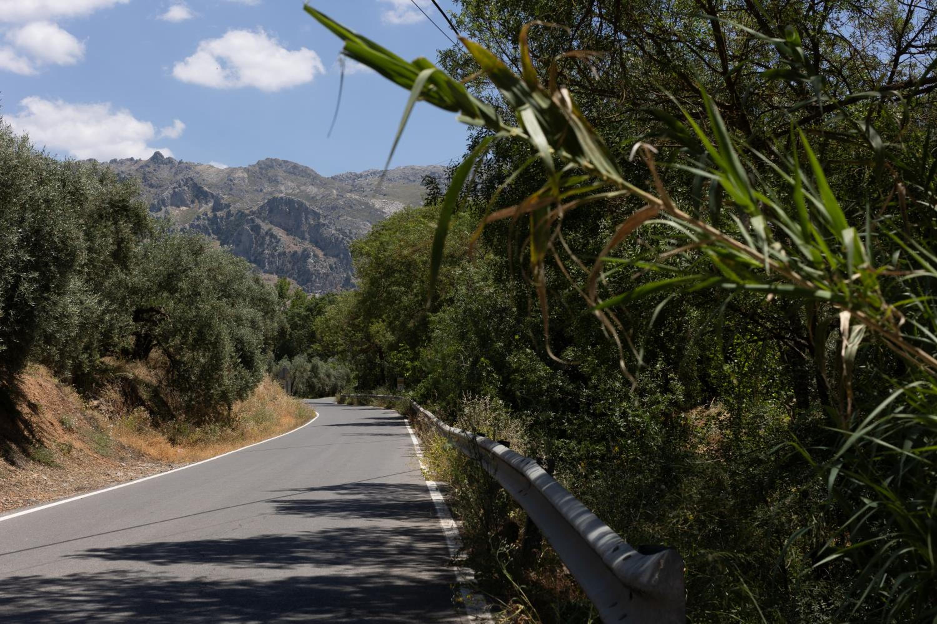 Cortijo el Chaparro