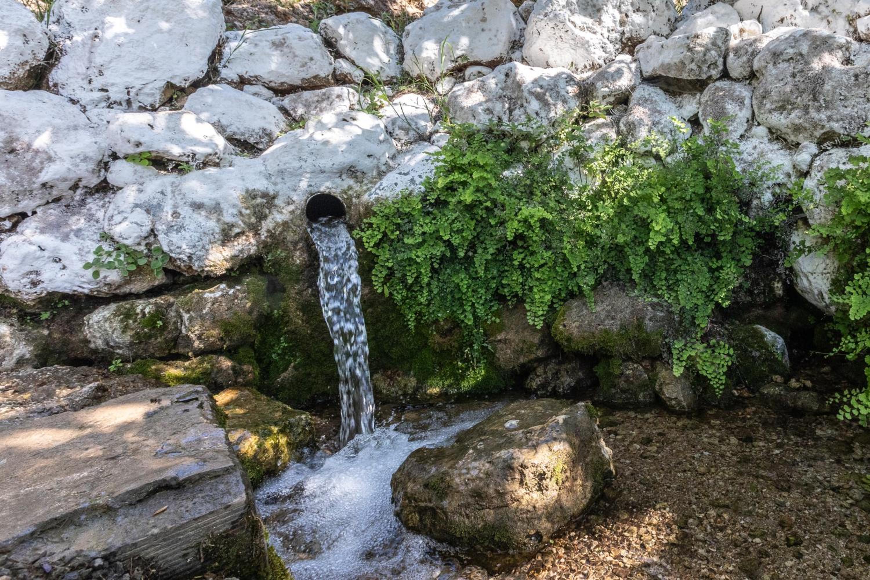 Cortijo el Chaparro