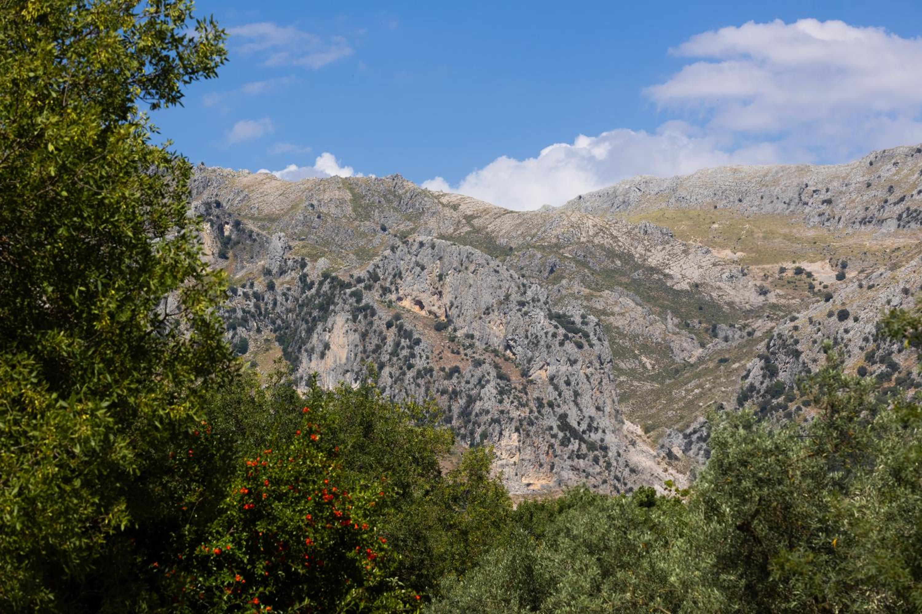 Cortijo el Chaparro