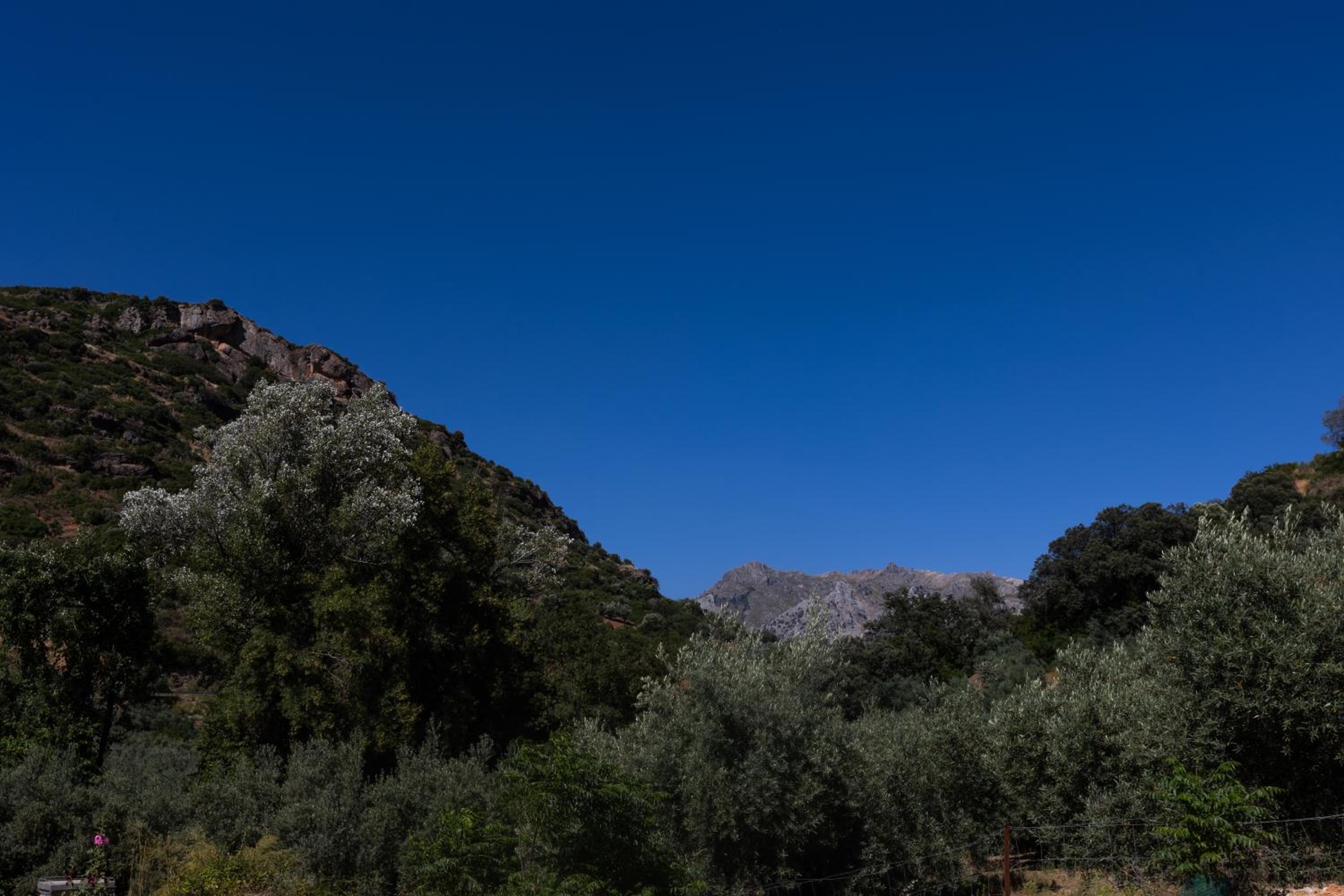 Cortijo el Chaparro