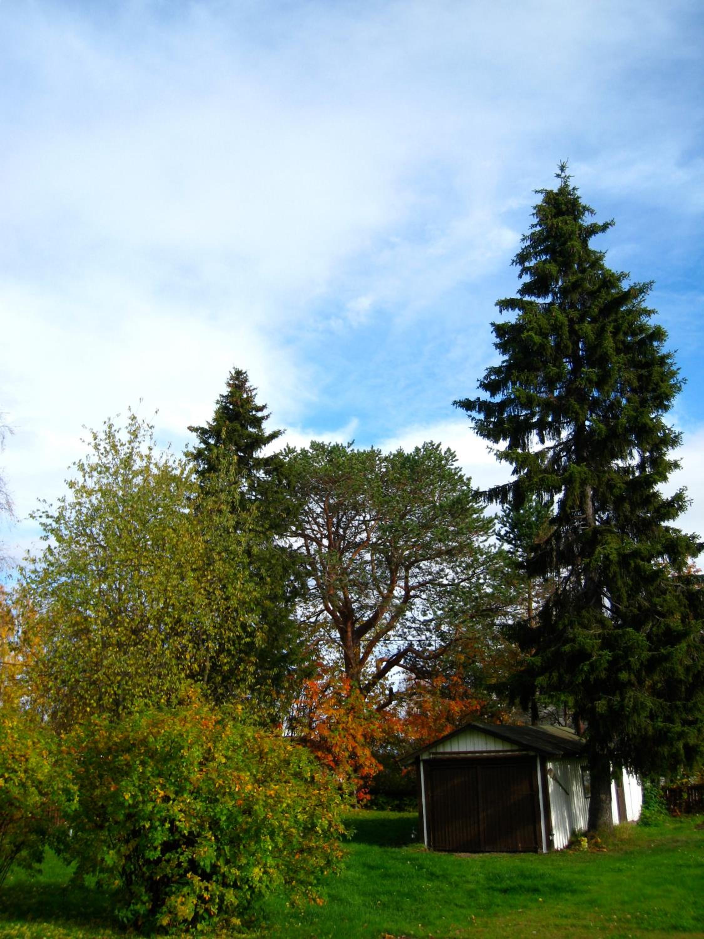 Photo 48