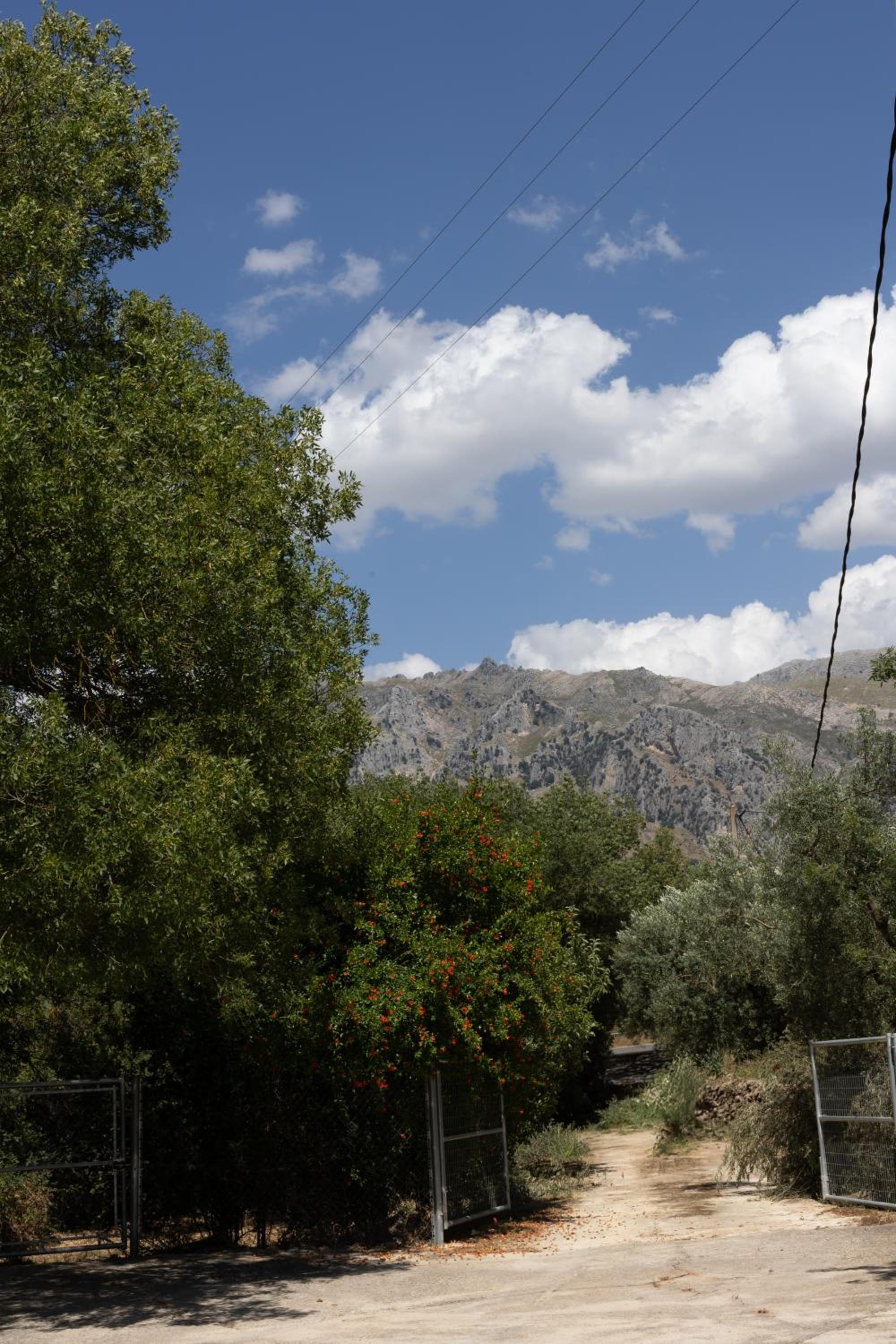Cortijo el Chaparro