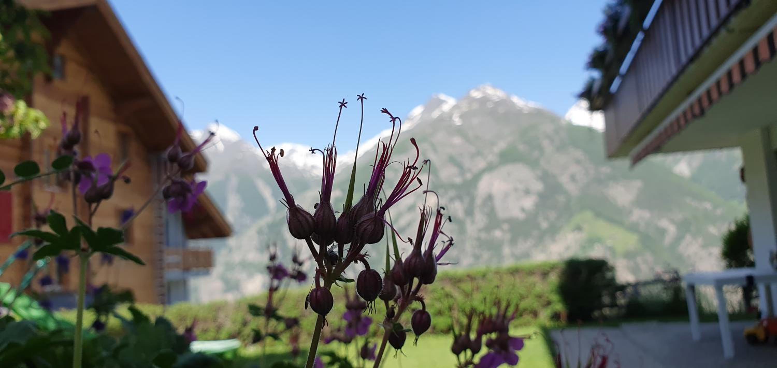 Chalet Schneevogul