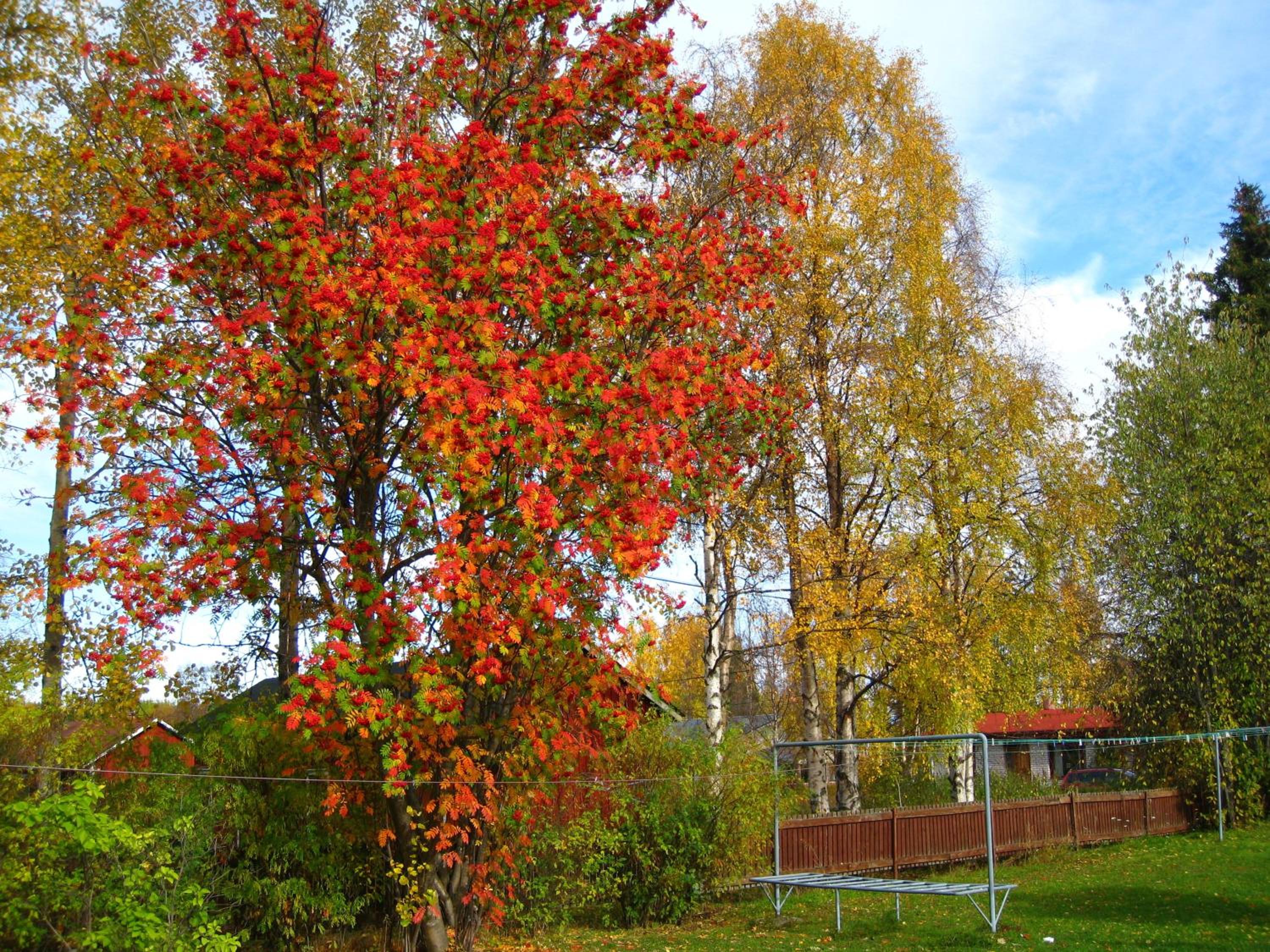 Photo 49