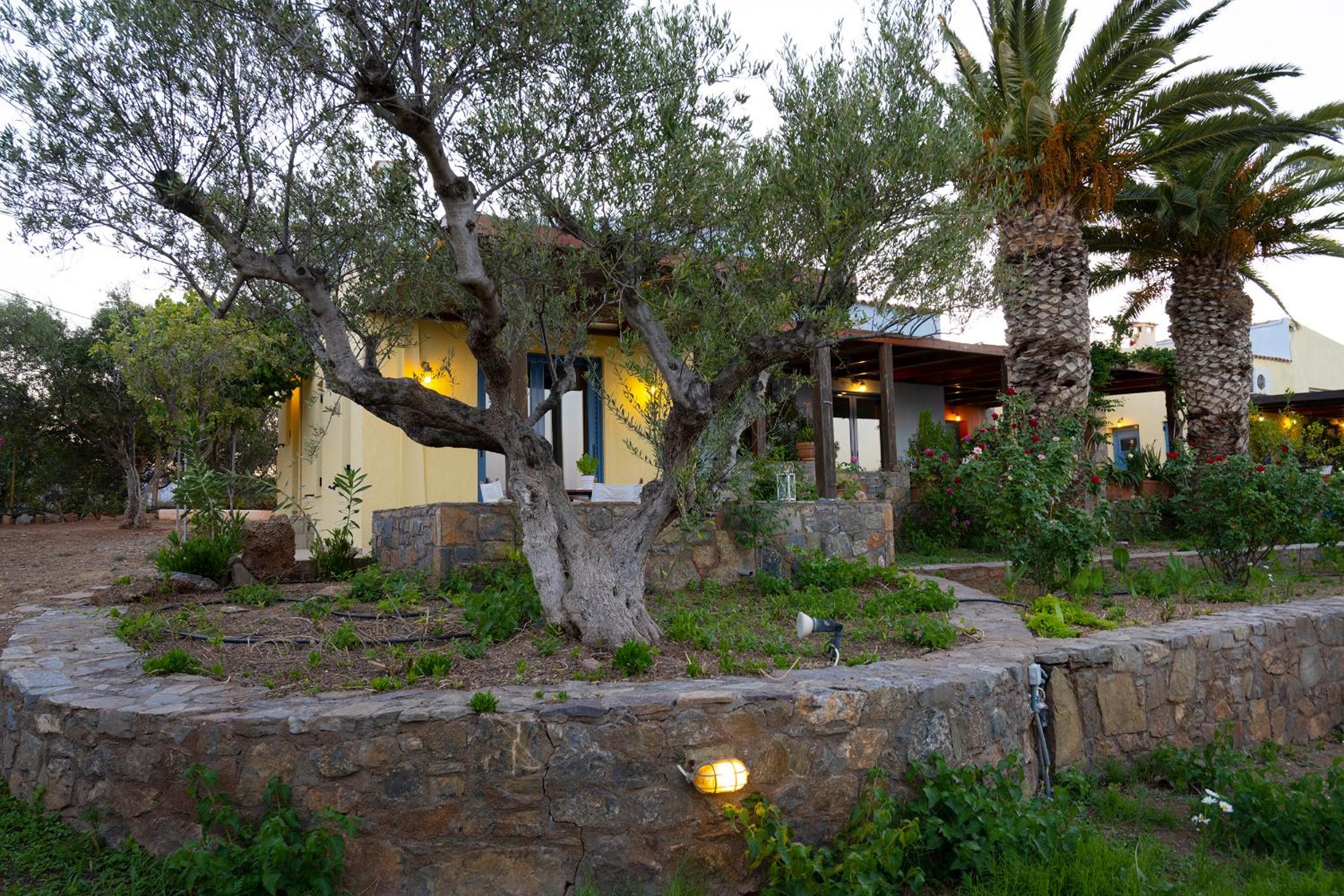 Olive Garden Houses