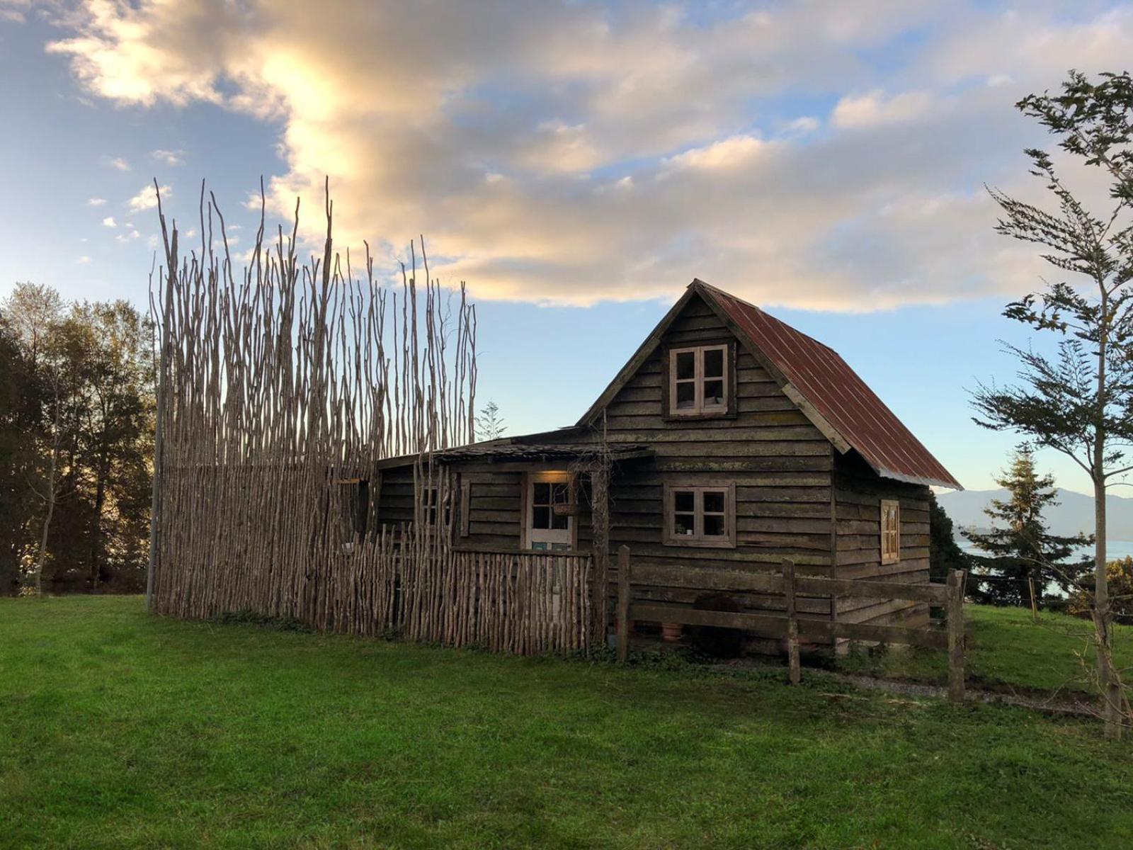 Tranco Lodge - In to the Horses