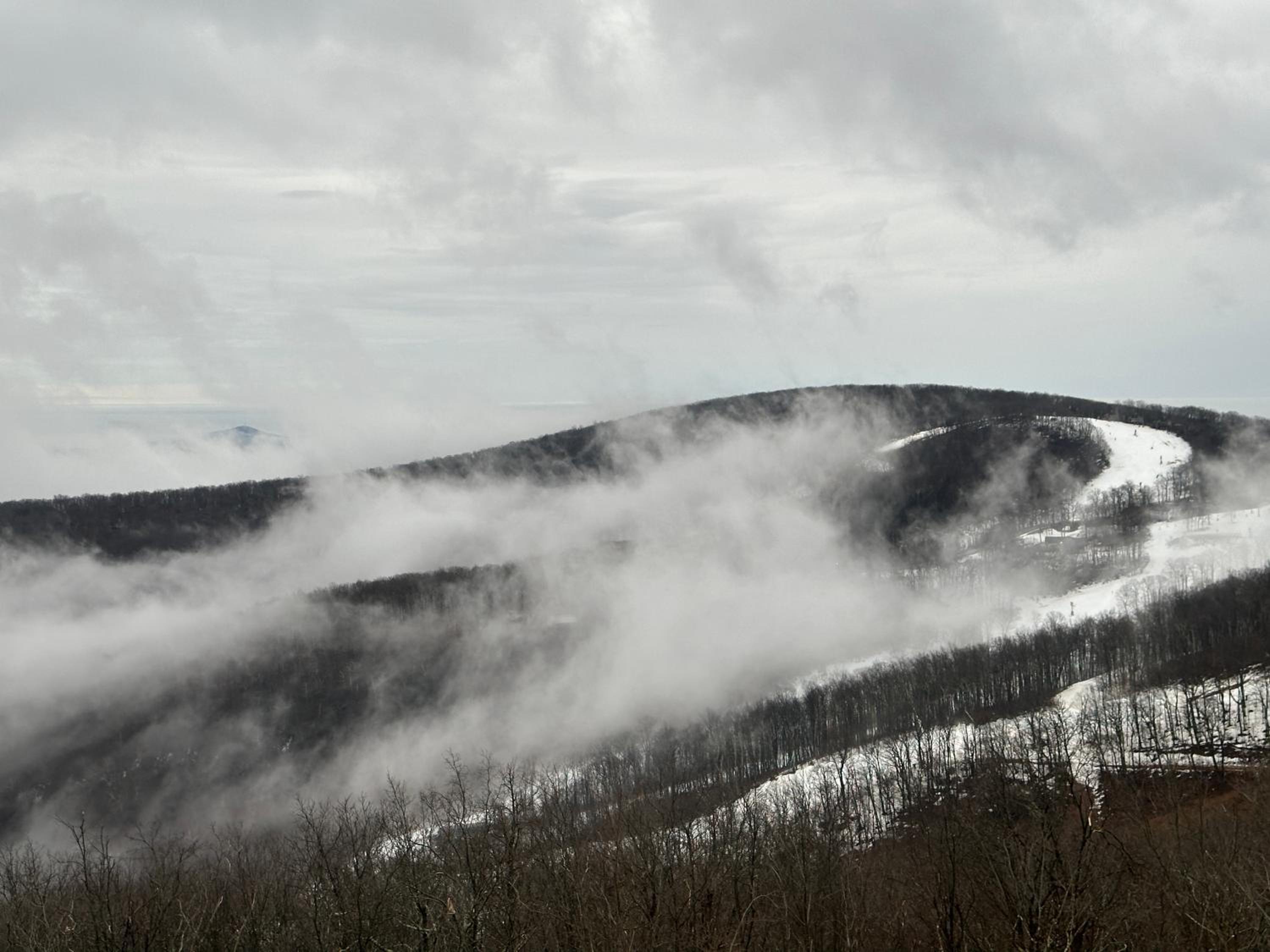 Panoramic Ski Slope Views, private sauna, dogs ok view 4