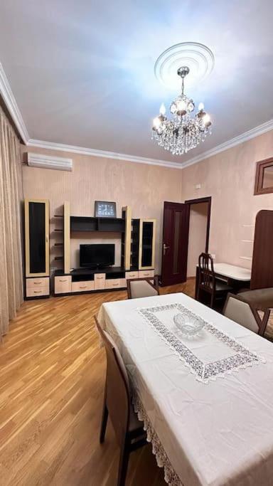 Elegant Apartment