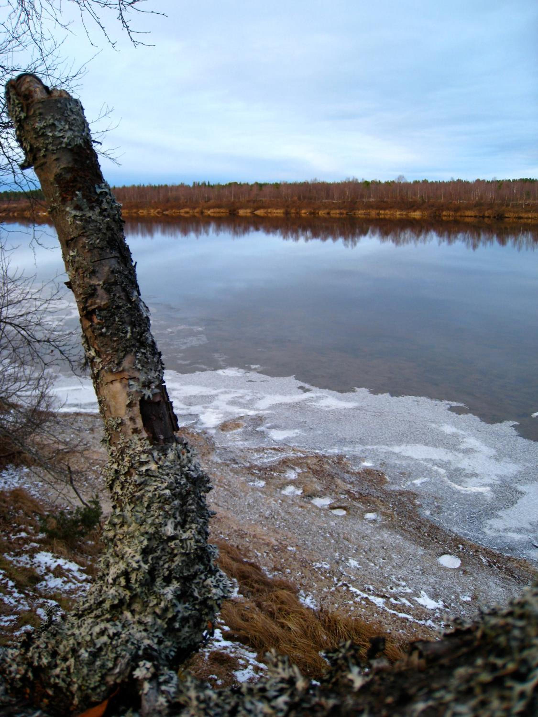 Photo 51