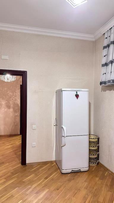 Elegant Apartment