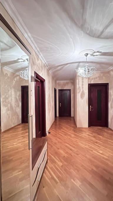 Elegant Apartment