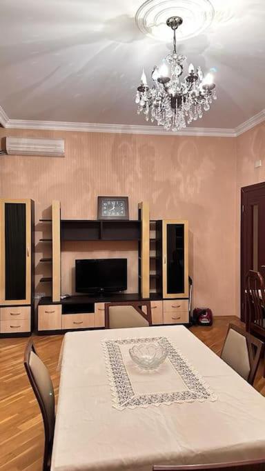 Elegant Apartment