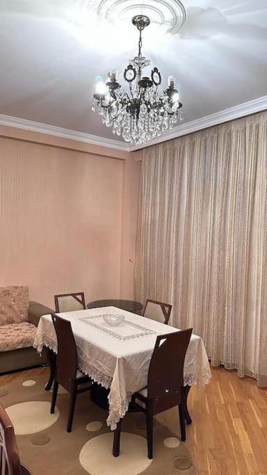 Elegant Apartment