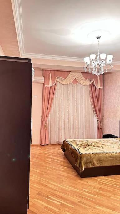 Elegant Apartment