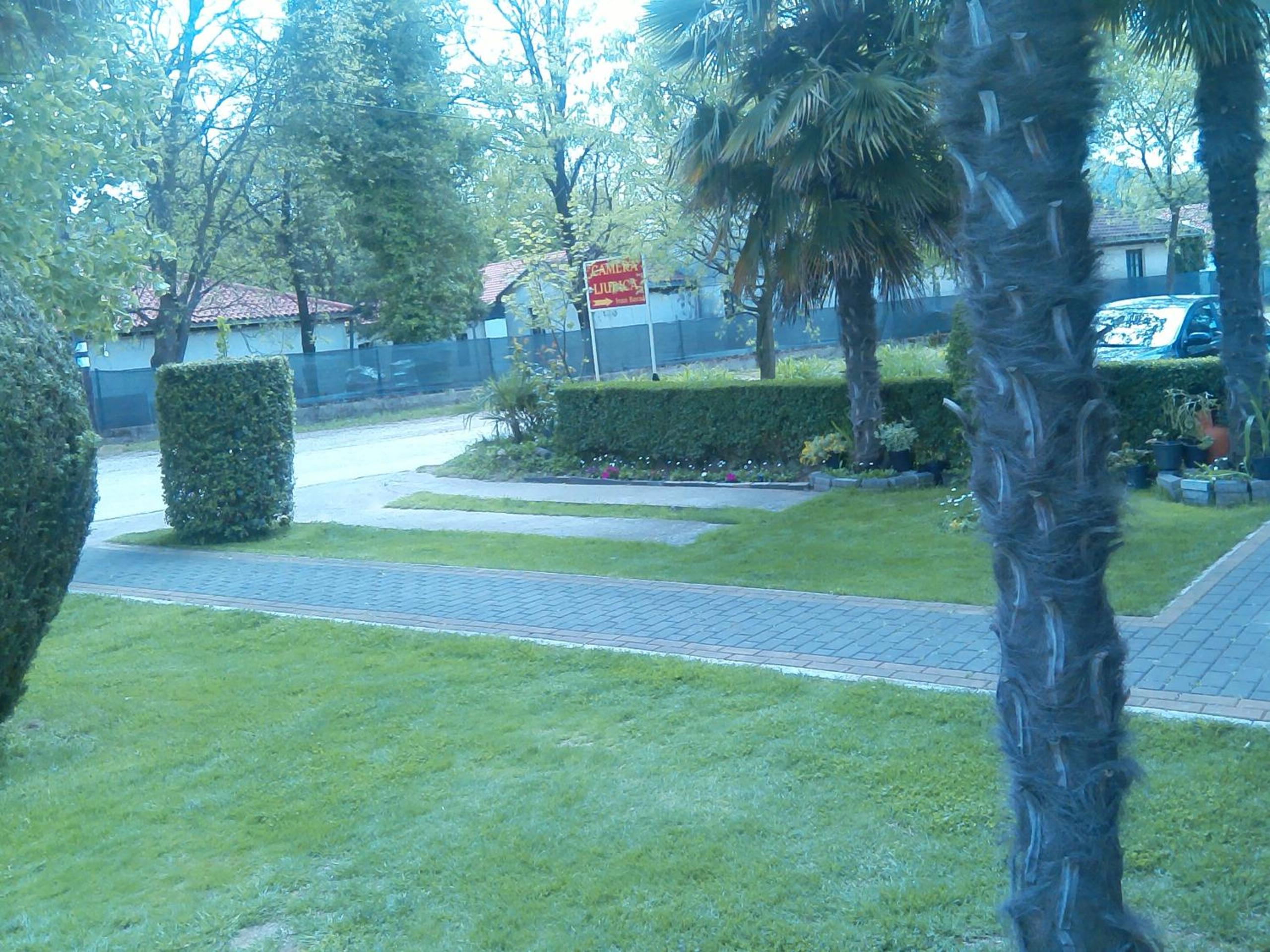 Pansion Ljubica