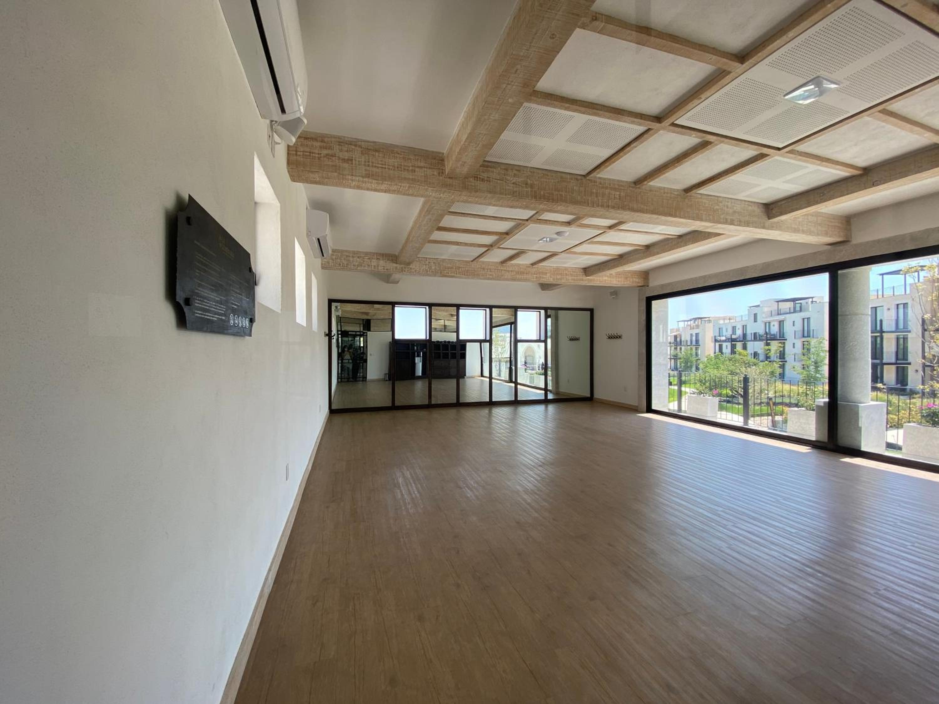 Photo 44
