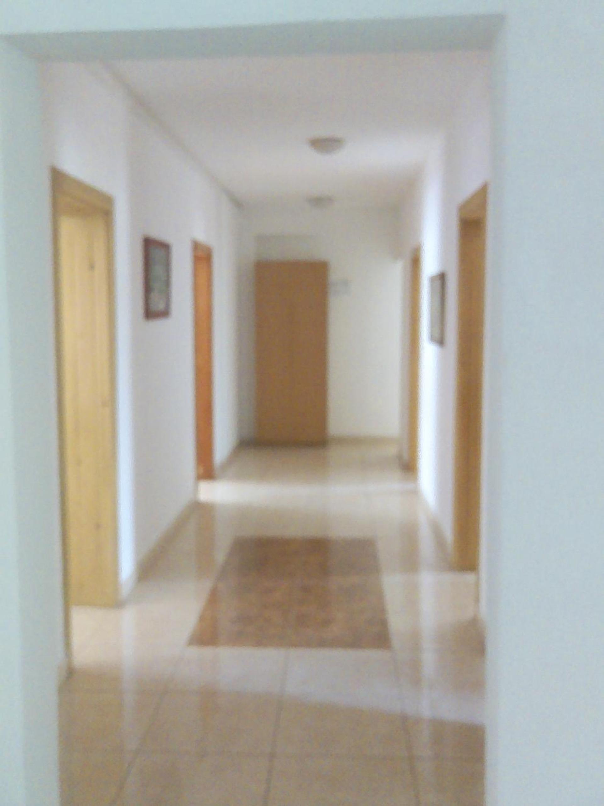 Pansion Ljubica