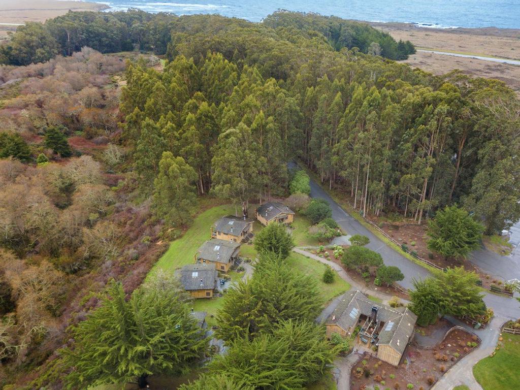 Costanoa view 2