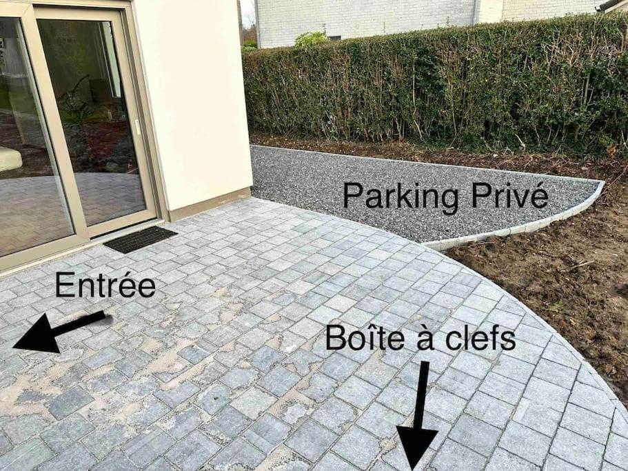 Kot é Vert g