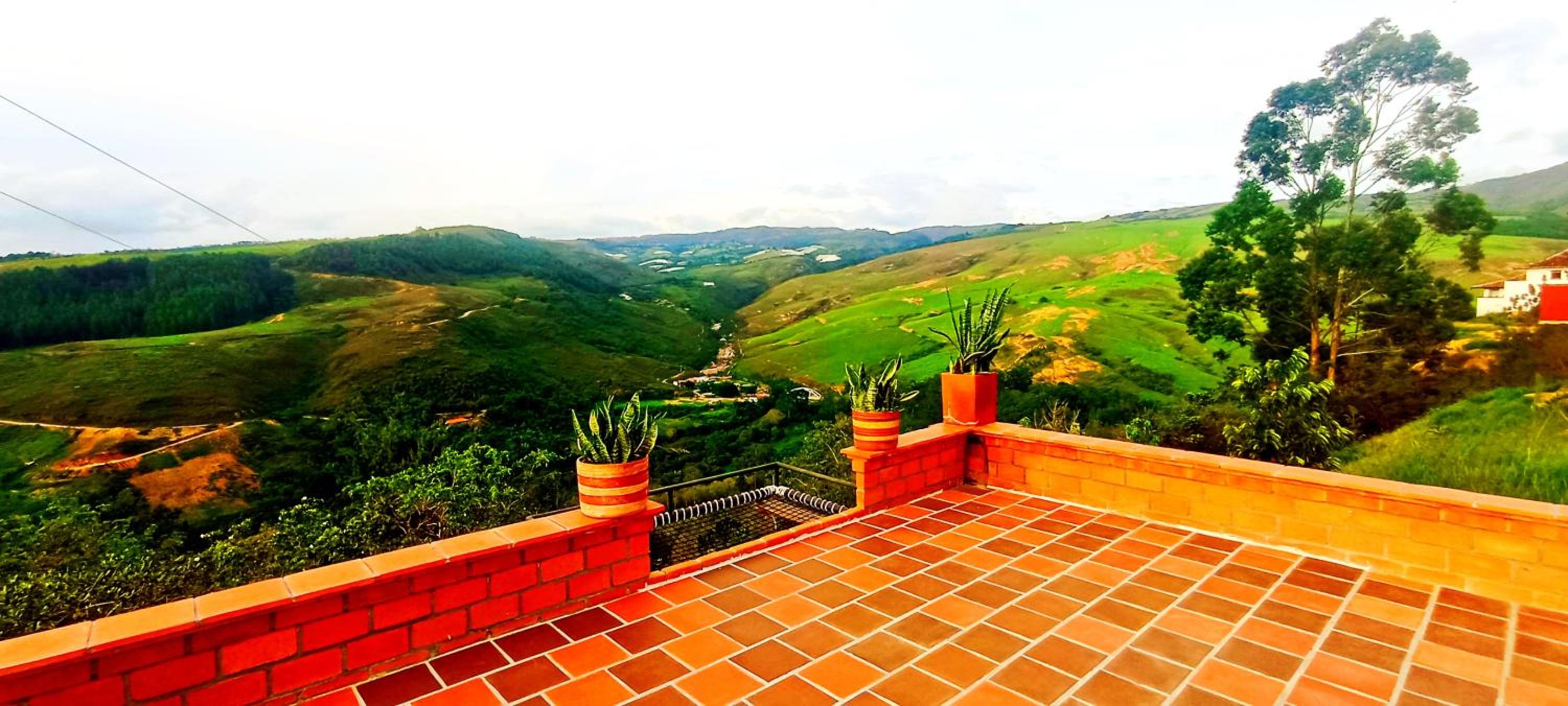 Villa sasa