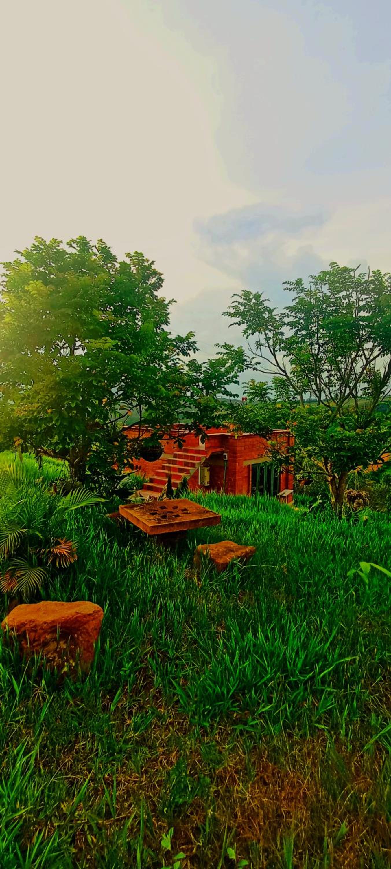 Villa sasa