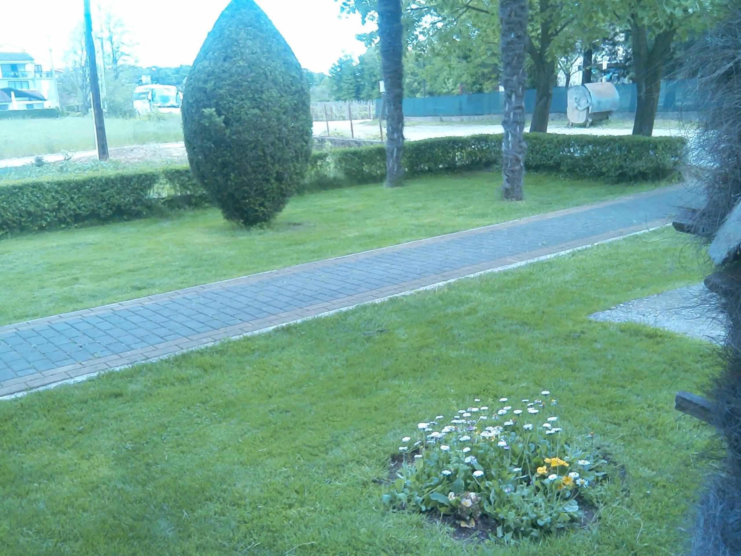 Pansion Ljubica
