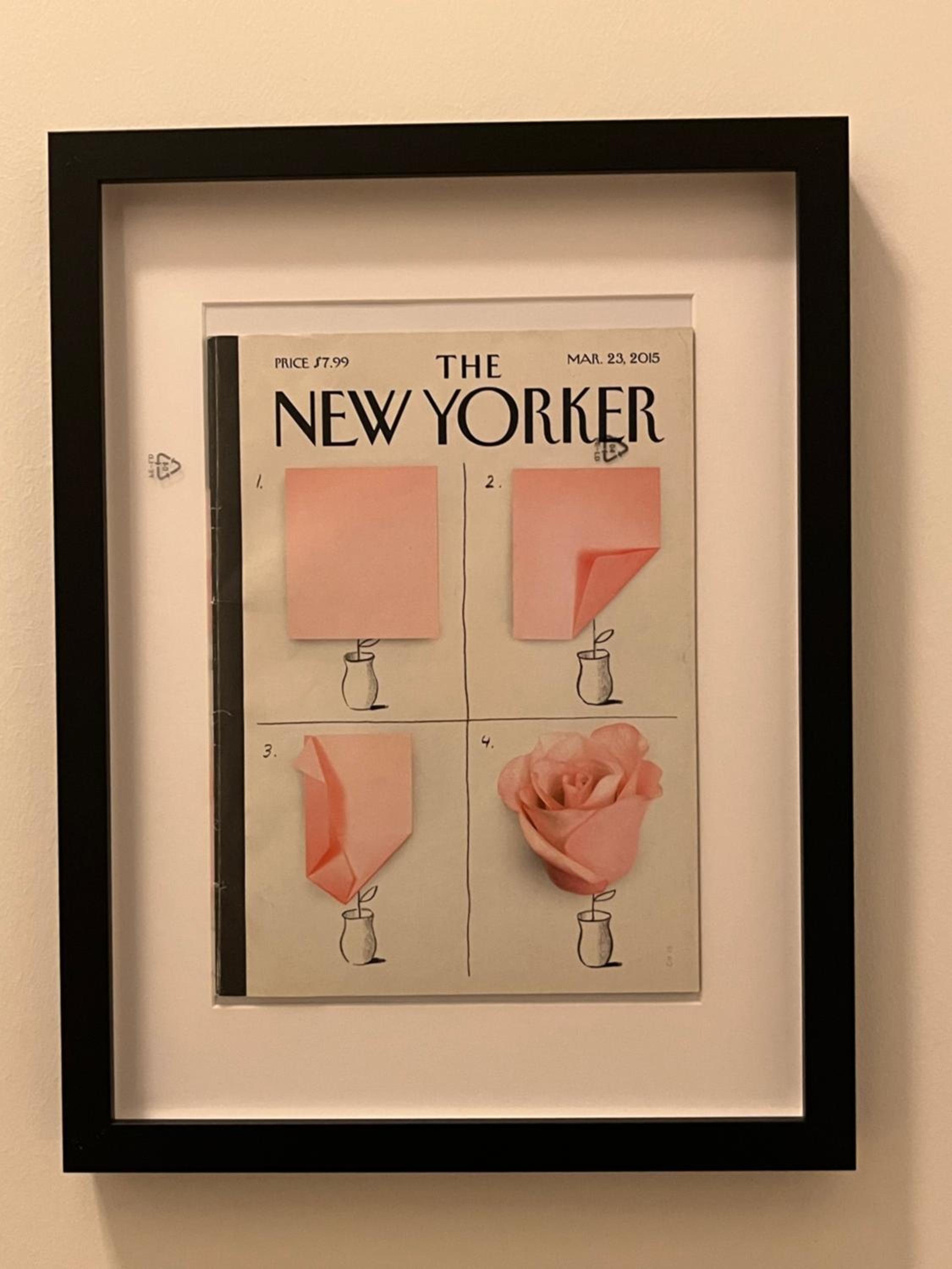 Apt7