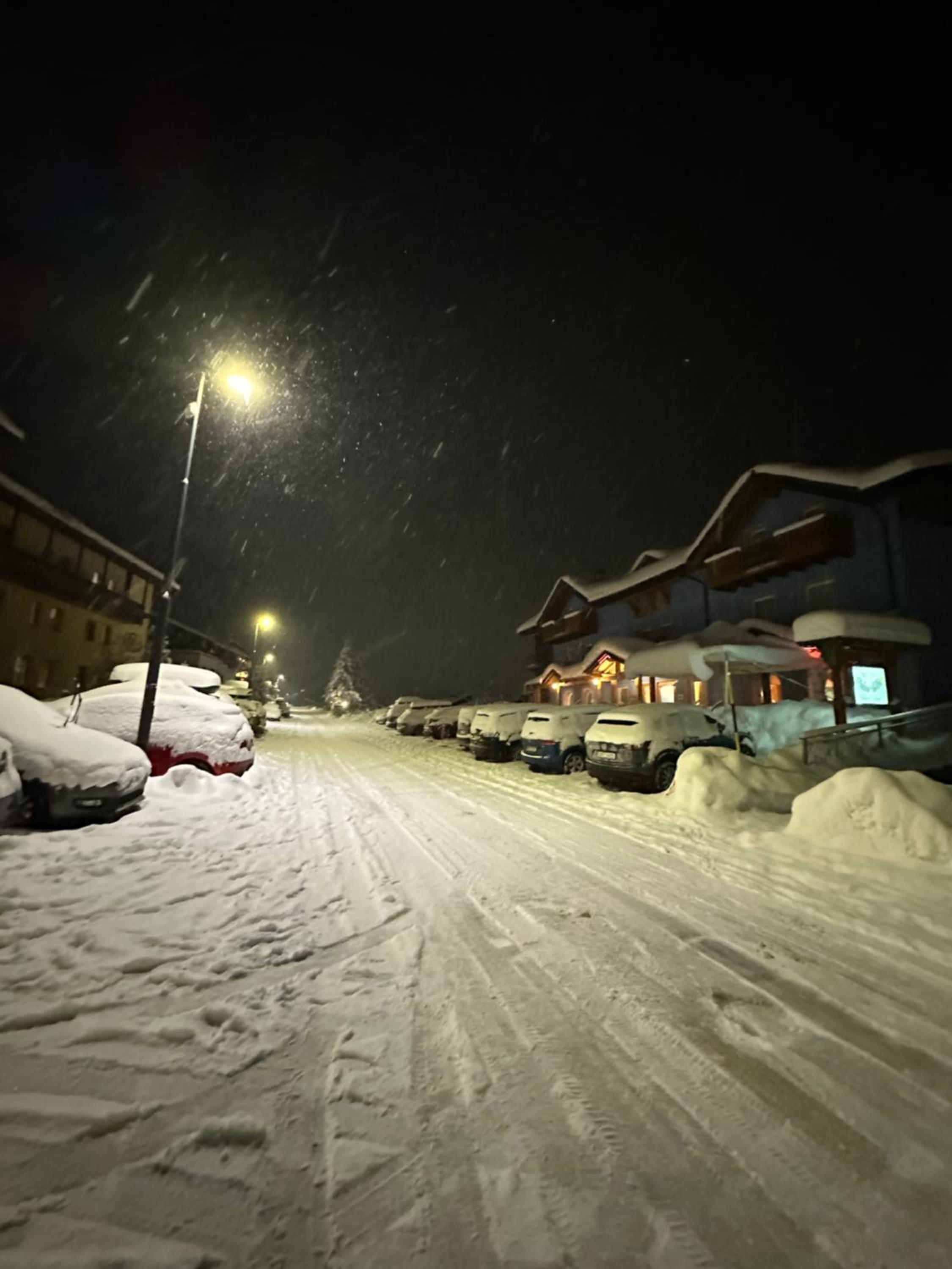 Tonale Ski-in AlpView Studio view 2
