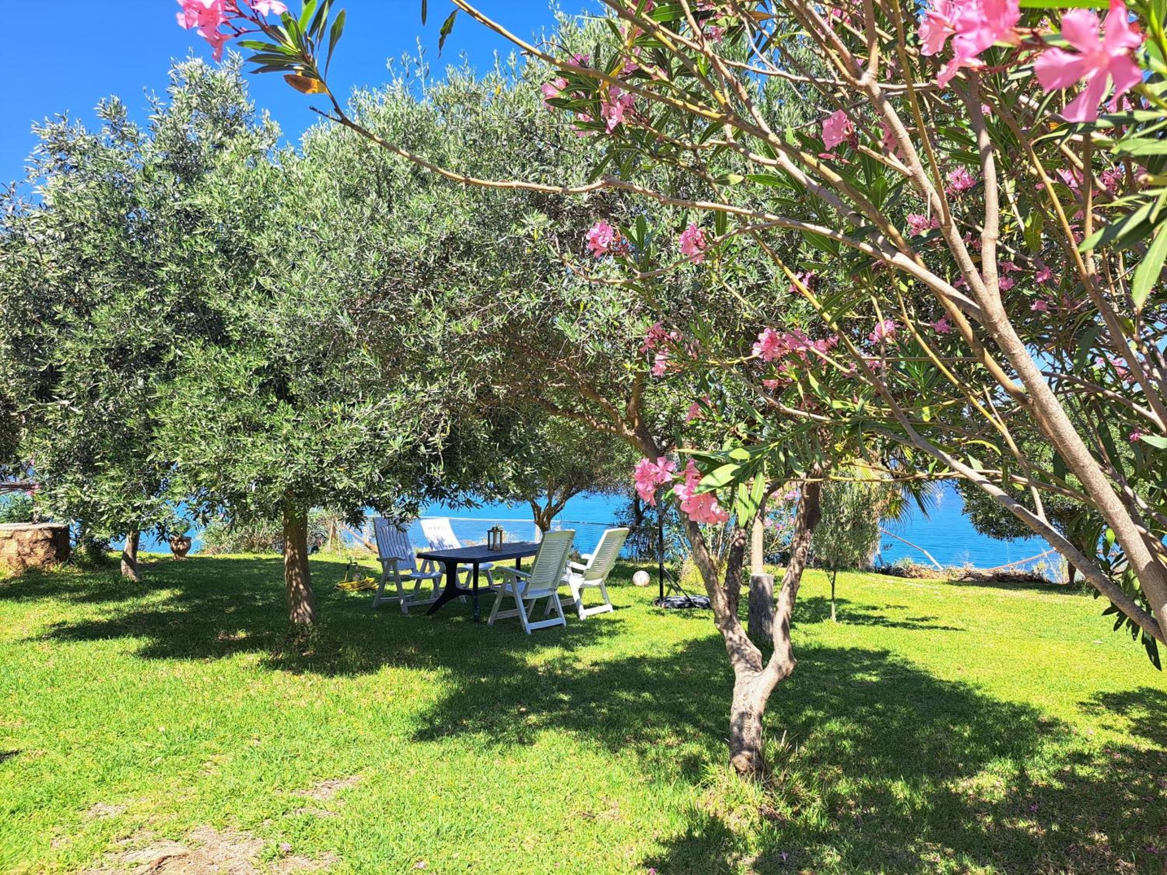Ithaka 1 view 5