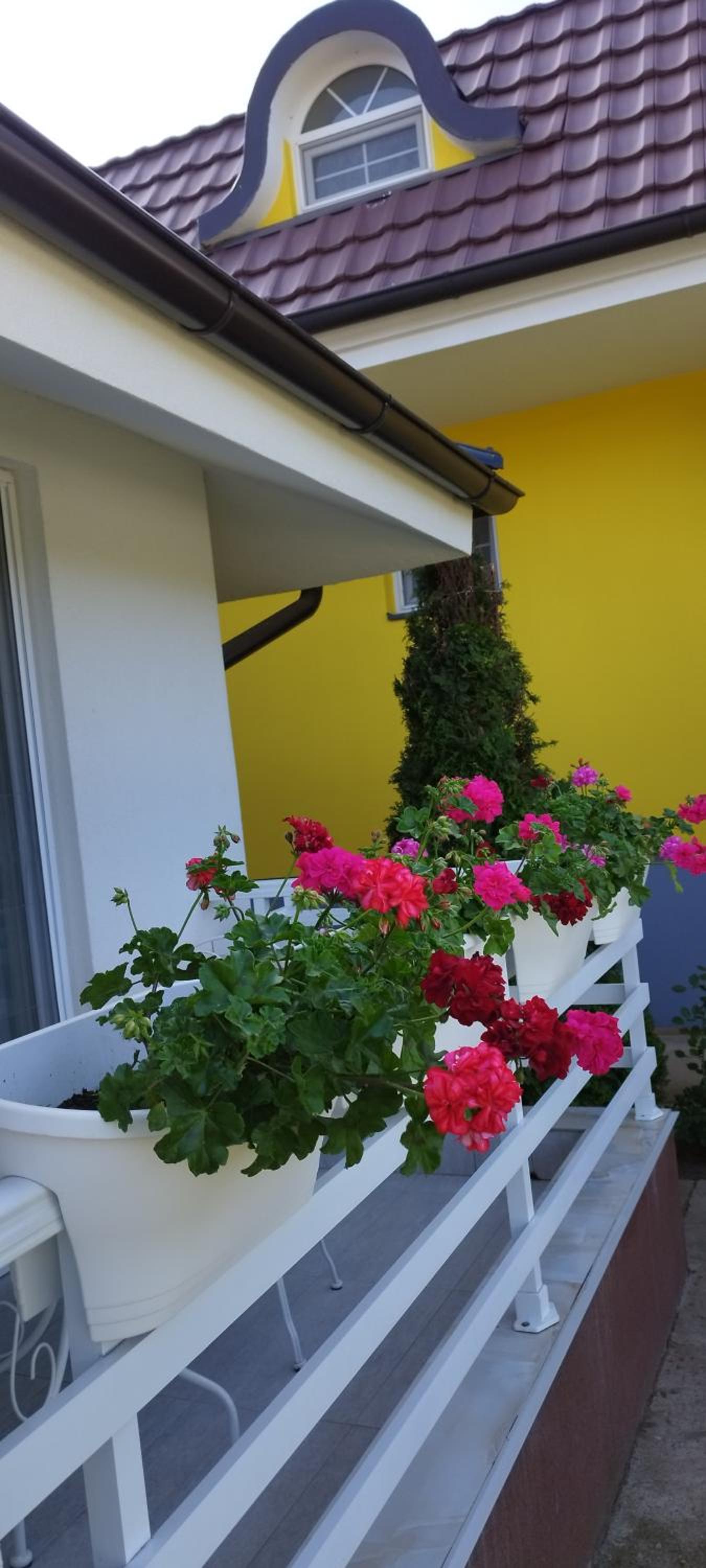 Photo 38