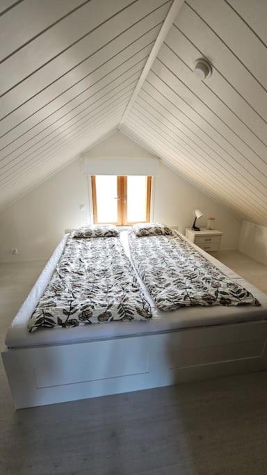 Cozy Lakefront Home & Sauna view 4